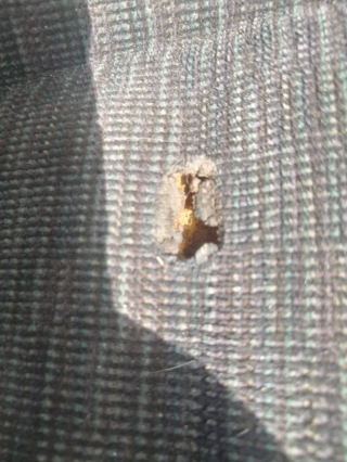 Сиденье, NISSAN, CEFIRO, A31, RB20DE, 1990, R