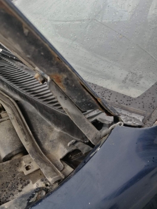 Шарнир капота, TOYOTA, COROLLA, AE100, 5A-FE, 1995, L