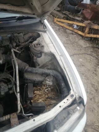 Лонжерон, NISSAN, PULSAR, FN15, GA15DE, 1997, F, L