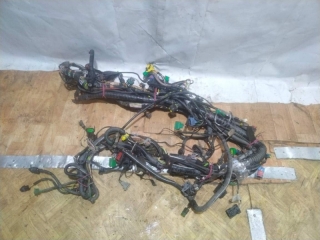 Проводка подкапотная, PEUGEOT, 406, 8B, PSA6FZ10LT, 2003