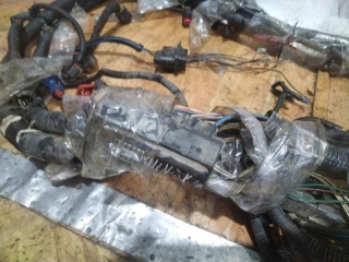 Проводка подкапотная, FORD, FOCUS, DFW, EYDK, 2004