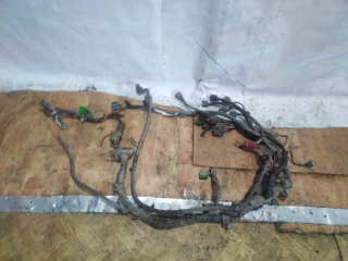 Проводка подкапотная, HONDA, CIVIC FERIO, EK8, D16A, 1998