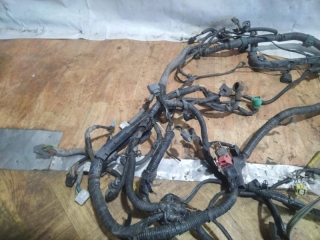 Проводка подкапотная, HONDA, ACCORD, CL7, K24, 2005