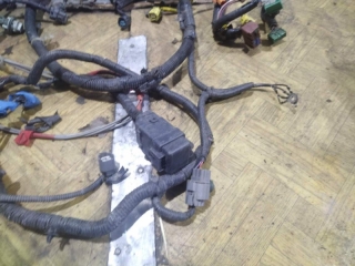 Проводка подкапотная, HONDA, ACCORD, CL7, K24, 2005