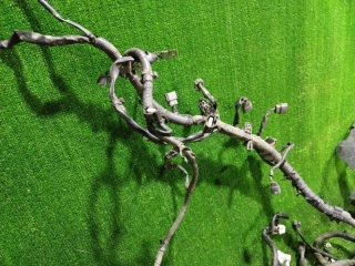 Проводка подкапотная, INFINITI, FX45, S50, VK45DE, 2007