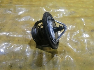 Термостат, INFINITI, FX45, S50, VK45DE, 2003