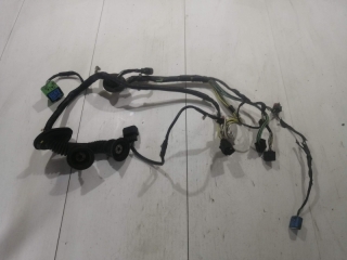 Проводка двери, FORD, FOCUS, DNW, Ford Zetec 2.0, 2002, F, L