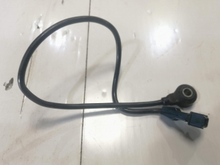 Датчик детонации, AUDI, A8, D2, AQD, 1999, 354905377