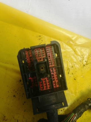 Проводка салонная, FORD, FOCUS, DNW, Ford Zetec 2.0, 2002