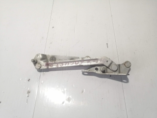 Петля крышки багажника, FORD, FOCUS, DFW, EYDK, 2004, R