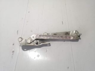 Петля крышки багажника, FORD, FOCUS, DFW, EYDK, 2004, L