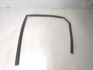 Уплотнитель стекла двери, INFINITI, FX45, S50, VK45DE, 2003, R, R