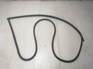 Уплотнитель двери, TOYOTA, PROBOX, NCP51, 1NZ-FE, 2002, F, L