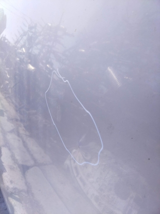 Крыша, NISSAN, PRIMERA, P11, QG18DE, 2000