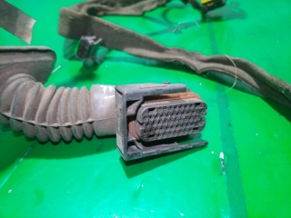 Проводка двери, RENAULT, MEGANE, LM05, K4MC813, 2007, F, L, 8200525185