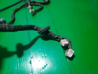 Проводка двери, NISSAN, CUBE, ANZ10, CGA3DE, 1998, F, R, 24124-2U702