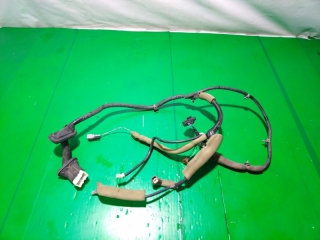 Проводка двери, INFINITI, FX45, S50, VK45DE, 2007, R, R, 24126-CL70B