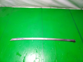 Молдинг на рамку двери, INFINITI, FX45, S50, VK45DE, 2007, R, R