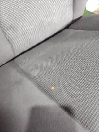 Сиденье, FORD, FOCUS, DFW, EYDC, 2003, R