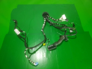 Проводка двери, VOLKSWAGEN, TIGUAN, AD1, CZDA, CZEA, 2020, F, L, 5NB971161BA