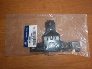 Кронштейн бачка гидроусилителя , HYUNDAI, TUCSON, JM, G4EA, 57161-2E000