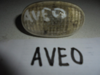 Повторитель поворота  в крыло, CHEVROLET, AVEO, T250, F14D3, 2007, F, R