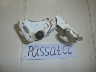 Петля двери, VOLKSWAGEN, PASSAT CC, 358, CDAB, 2010, F, R