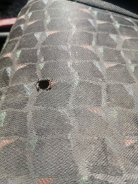 Сиденье, MAZDA, 323, BA, Z5, 1998, F