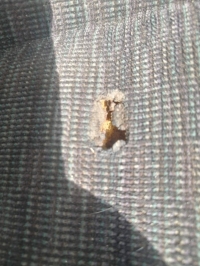 Сиденье, NISSAN, CEFIRO, A31, RB20DE, 1990, R