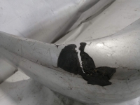 Бампер, TOYOTA, IPSUM, SXM10, 3S-FE, 1996, R