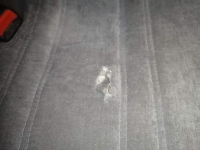 Сиденье, LIFAN, BREEZ, 520, LF479Q3, 2008, R