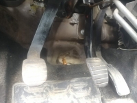 Педаль сцепления, NISSAN, ALMERA, G15, K4M, 2014