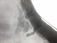 Бампер, LEXUS, RX330, MCU38, 3MZ-FE, 2003-2006, R