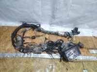 Проводка подкапотная, FORD, FOCUS, DFW, EYDK, 2004