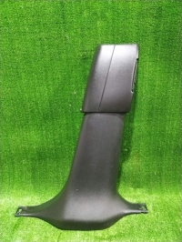 Накладка на стойку, INFINITI, FX45, S50, VK45DE, 2003, R, низ
