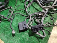 Проводка подкапотная, INFINITI, FX45, S50, VK45DE, 2007