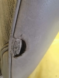 Сиденье, JEEP, CHEROKEE, XJ, 4L, 1993, F, L