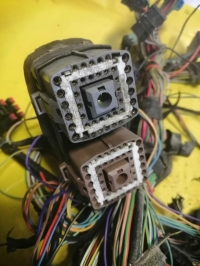 Проводка салонная, FORD, FOCUS, DNW, Ford Zetec 2.0, 2002