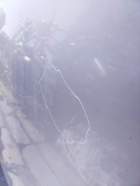 Крыша, NISSAN, PRIMERA, P11, QG18DE, 2000