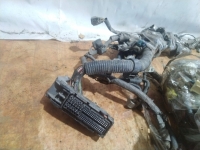 Проводка подкапотная, TOYOTA, COROLLA, ZZE150, 1ZR-FE, 2008