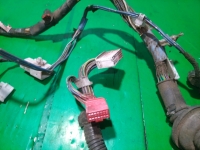 Проводка двери, TOYOTA, FUNCARGO, NCP25, 1NZ-FE, 2001, F, R, 82151-52520