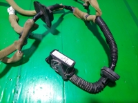 Проводка двери, INFINITI, FX45, S50, VK45DE, 2007, F, R