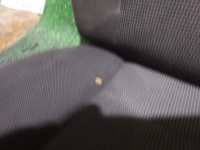 Сиденье, FORD, FOCUS, DFW, EYDC, 2003, R