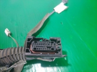 Проводка двери, RENAULT, MEGANE, LM05, K4MC813, 2007, R, L, 82000217370