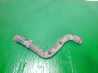 Патрубок радиатора, FORD, FOCUS, CB4, AODA, 2009