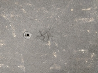 Пол багажника, BMW, 5-SERIES, E60, M57N2, 2008