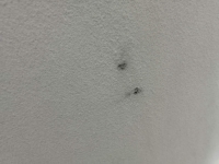 Обшивка потолка, DAEWOO, MATIZ, KLYA, F8CV, 2005