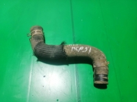 Патрубок радиатора, TOYOTA, PROBOX, NCP51, 1NZ-FE, 2002, Верхний